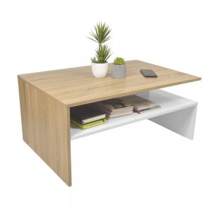 Mesa de centro con doble estante, elegante y minimalista